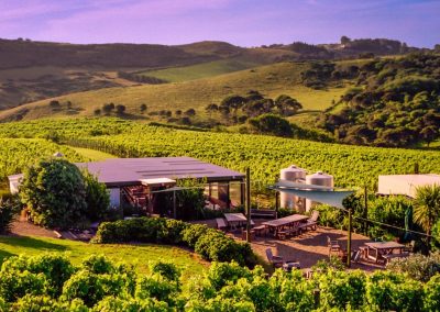 The Shed – Te Motu Vineyard
