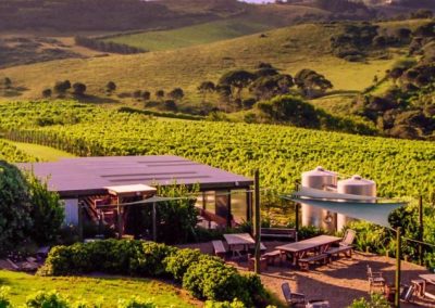 Te Motu Vineyard