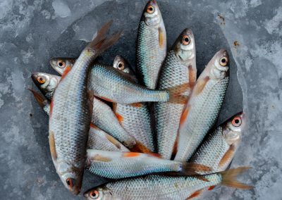 Insights from the Kai Keepers pilot — and where hospitality goes from here